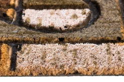 Wycieraczka kokosowa THERMOCOCO 40x60 cm MIX